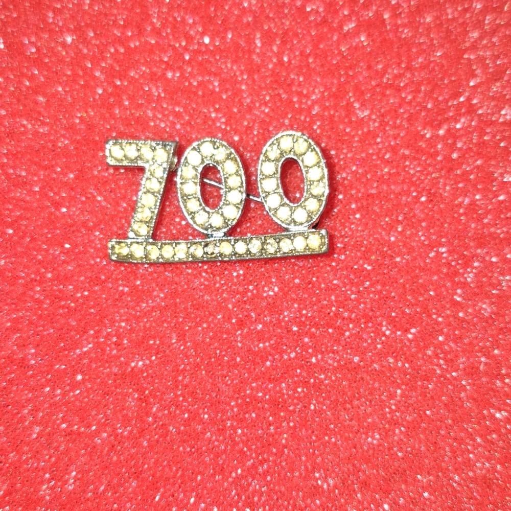 Vintage Rhinestone 700 club pin.